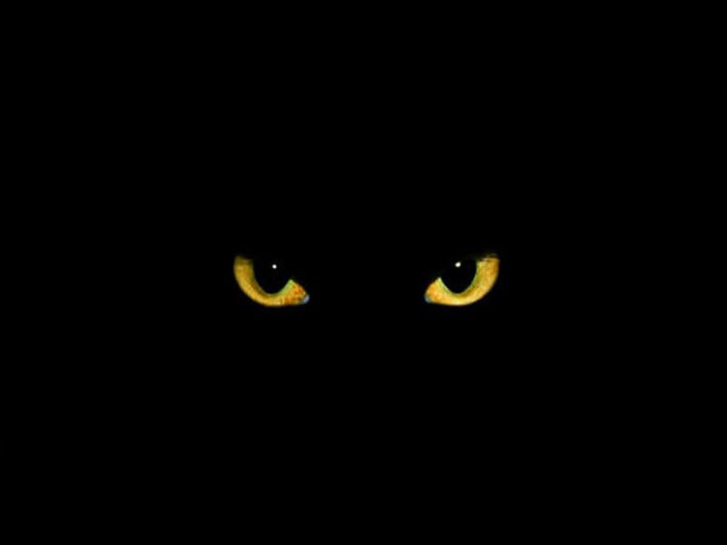 Now you see me and now you don